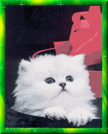 gifs dans gifs 20250210