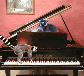 gifs dans gifs 20897210