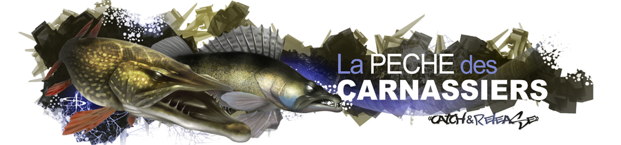 Forum La Pêche des Carnassiers