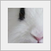 Nouveaux messages