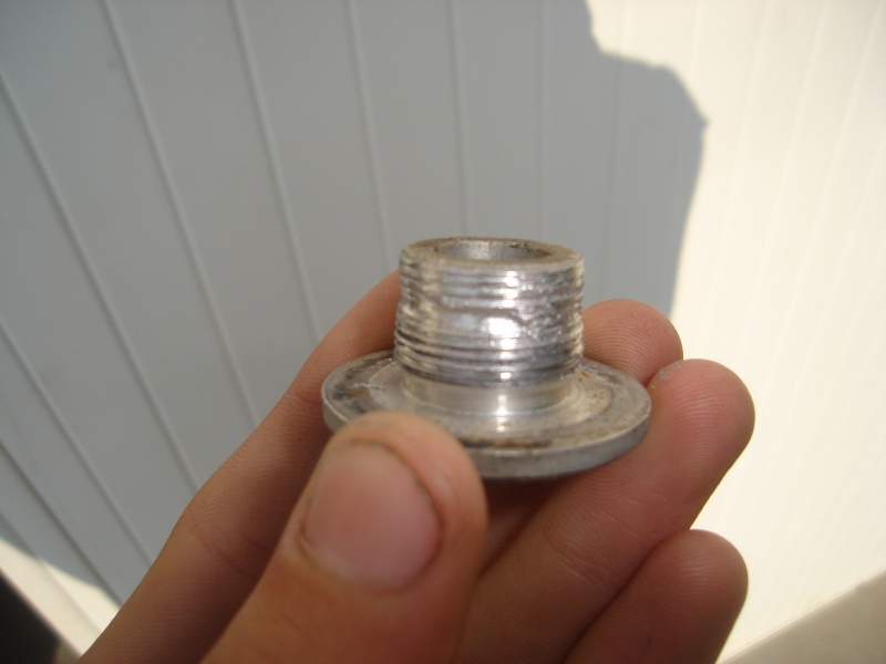 dsc03010.jpg
