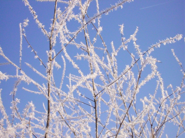 givre10.jpg