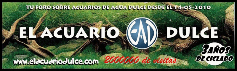 elacuariodulce.com