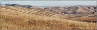 http://i72.servimg.com/u/f72/16/89/44/81/steppe10.jpg