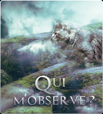 Qui est en ligne ?