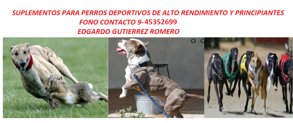 venta_10.png