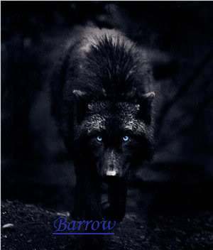barrow14.png