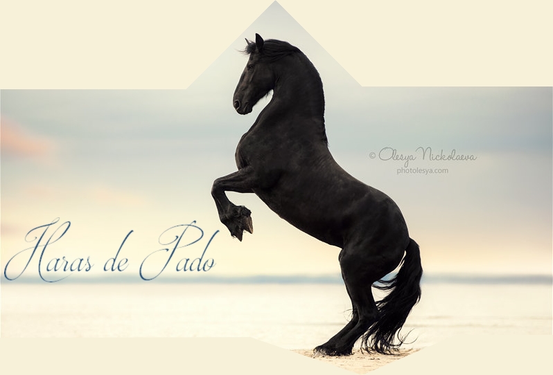 ∞ Haras de Pado.