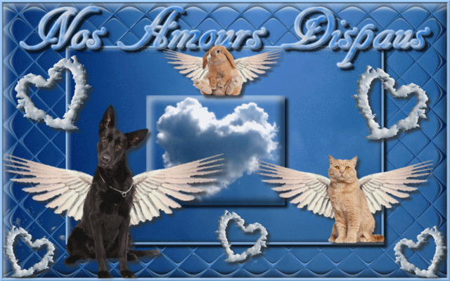 Nos Amours Disparus